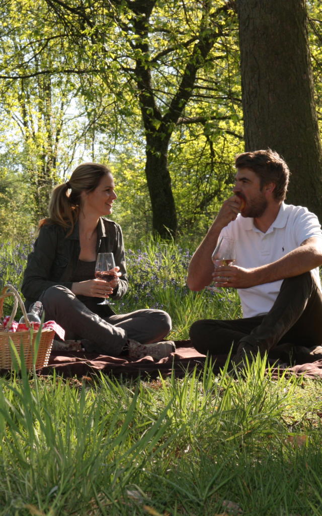 Picknick van een koppel in Harriez Wood