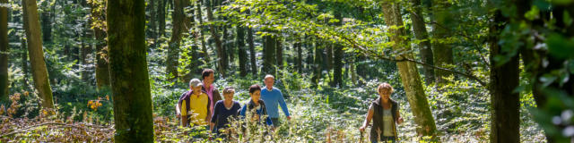 Hiking in Retz forest < Retz forest