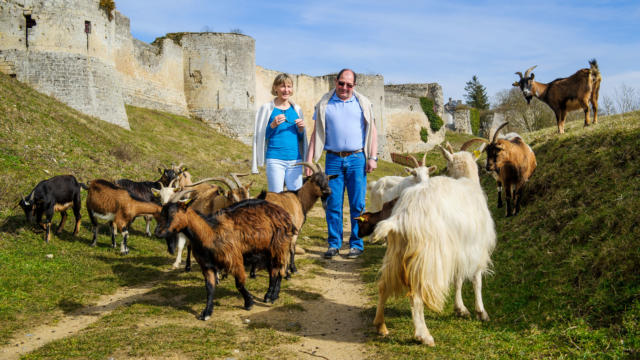 Coucy-Le-Château