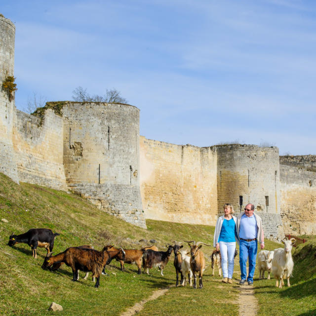 Coucy-le-Château