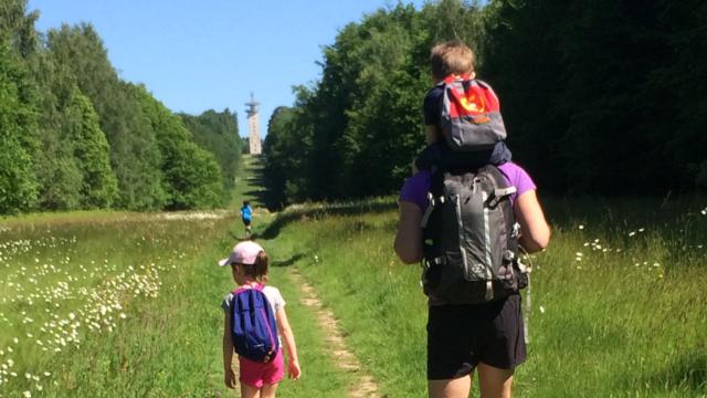 Hiking in the forest < Forêt de Retz