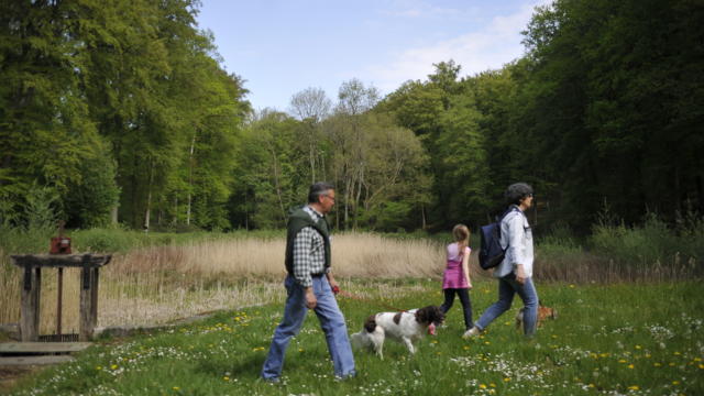 Hiking in the forest < Forêt de Retz