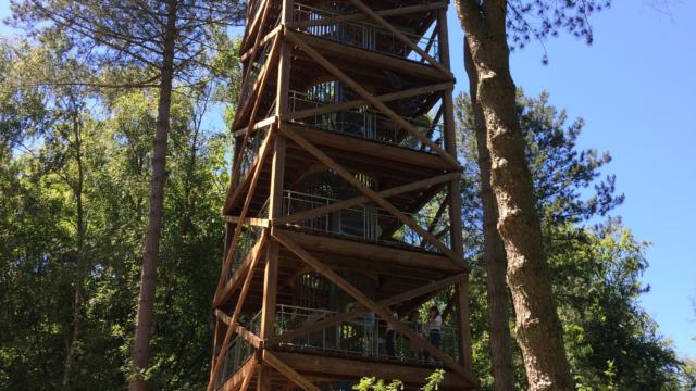 General Mangin's observation tower < Forêt de Retz