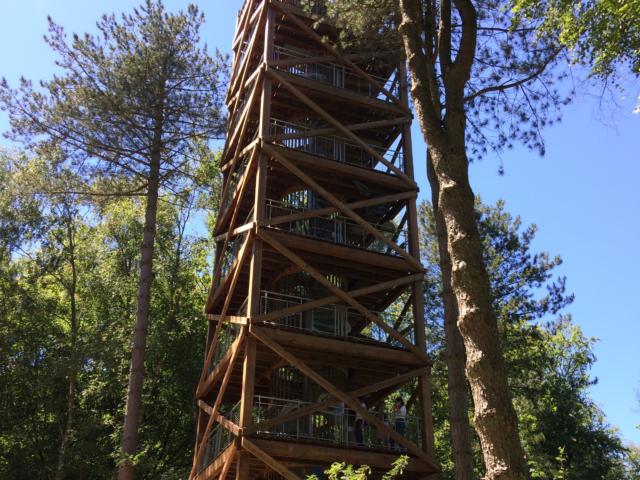 Tour D'observation Du Général Mangin < Forêt de Retz