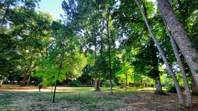 Arboretum de Septmonts