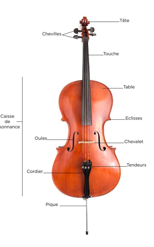 Cello