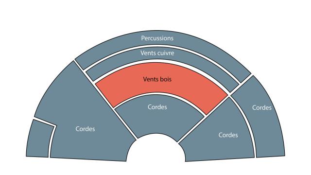 Pplace-dans-lorchestre-clarinette.jpg