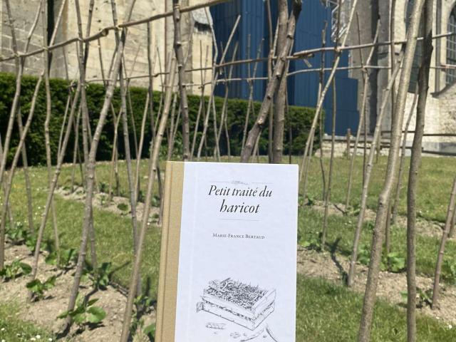 Le petit traité du haricot